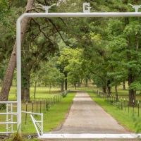 69-Acre Ranch for Sale near Overton TX images 2
