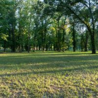 69-Acre Ranch for Sale near Overton TX images 3