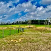 122 acres Improved Pasture Jeff Davis Co.