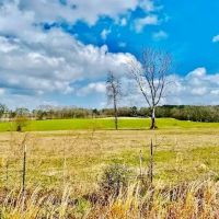 122 acres Improved Pasture Jeff Davis Co. images 4