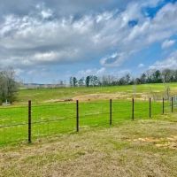 122 acres Improved Pasture Jeff Davis Co. images 5