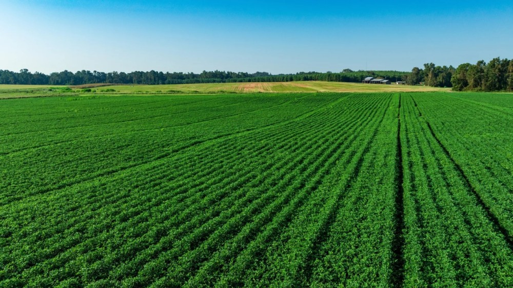 Greenville Farm Timberland featured image