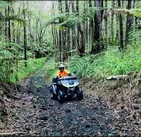 640 acres  Waiakea Forest Reserve wild sheep hunting land in Tom’s Trail, HI