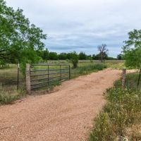 F1 Ranch images 1
