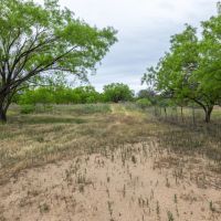 F1 Ranch images 2