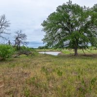 F1 Ranch images 3