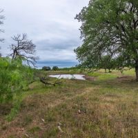 F1 Ranch images 4