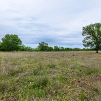 F1 Ranch images 5