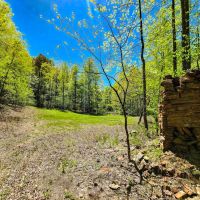 585 acres of Residential and Recreational Mountain Land For Sale in Patrick County VA images 3