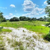 Anderson Road Homesites Lot 1 images 4
