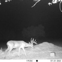 Wandering Wind Ranch images 4
