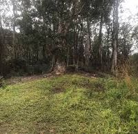 Laupahoehoe and Piha Sections 4,800 acre pigs hunting land in Lanai City, HI