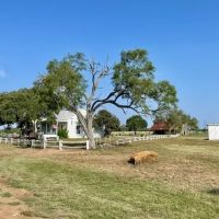 Mariposa Farm Bexar County Texas images 4