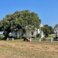 Mariposa Farm Bexar County Texas images 5