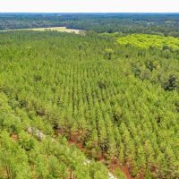 Timberland Investment Tract Ware County GA