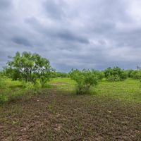 Maxy Ranch images 2
