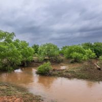 Maxy Ranch images 3