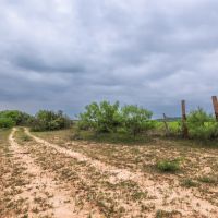 Maxy Ranch images 4