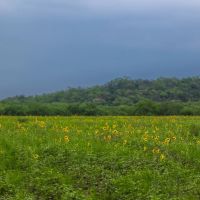 Maxy Ranch images 5