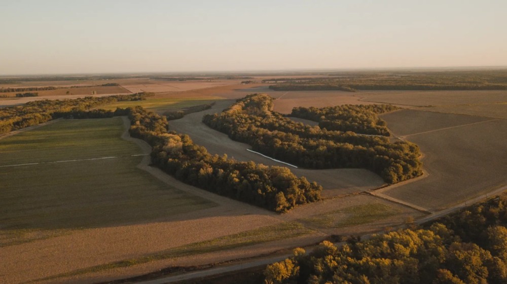 304.75 Acres in Leflore County MS - Macduff Farms featured image