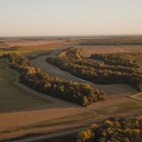 304.75 Acres in Leflore County MS - Macduff Farms