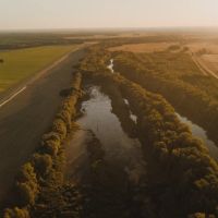 304.75 Acres in Leflore County MS - Macduff Farms images 3