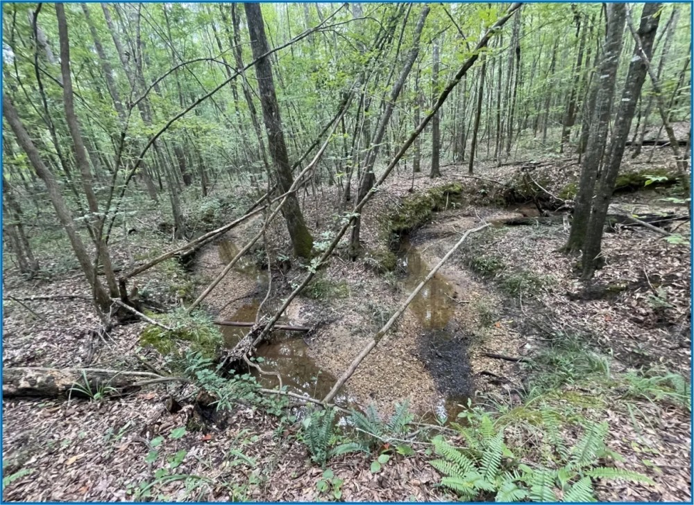 20 Acres in Copiah County in Hazlehurst MS featured image