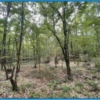 20 Acres in Copiah County in Hazlehurst MS images 2