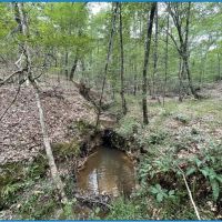 20 Acres in Copiah County in Hazlehurst MS images 5