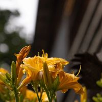 422 Acres with 4 Homes in Rhea County TN images 5