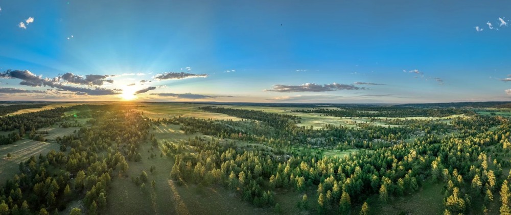 Brand Rock Ranch featured image