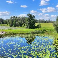 Anderson Road Homesite Lot 3 images 2