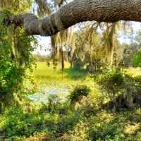 Anderson Road Homesite Lot 3 images 3