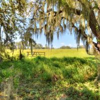 Anderson Road Homesite Lot 3 images 4