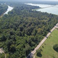 MS - Forrest 29 Acres -