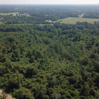 MS - Forrest 29 Acres - images 2