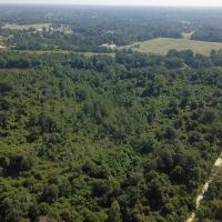 MS - Forrest 29 Acres - images 3