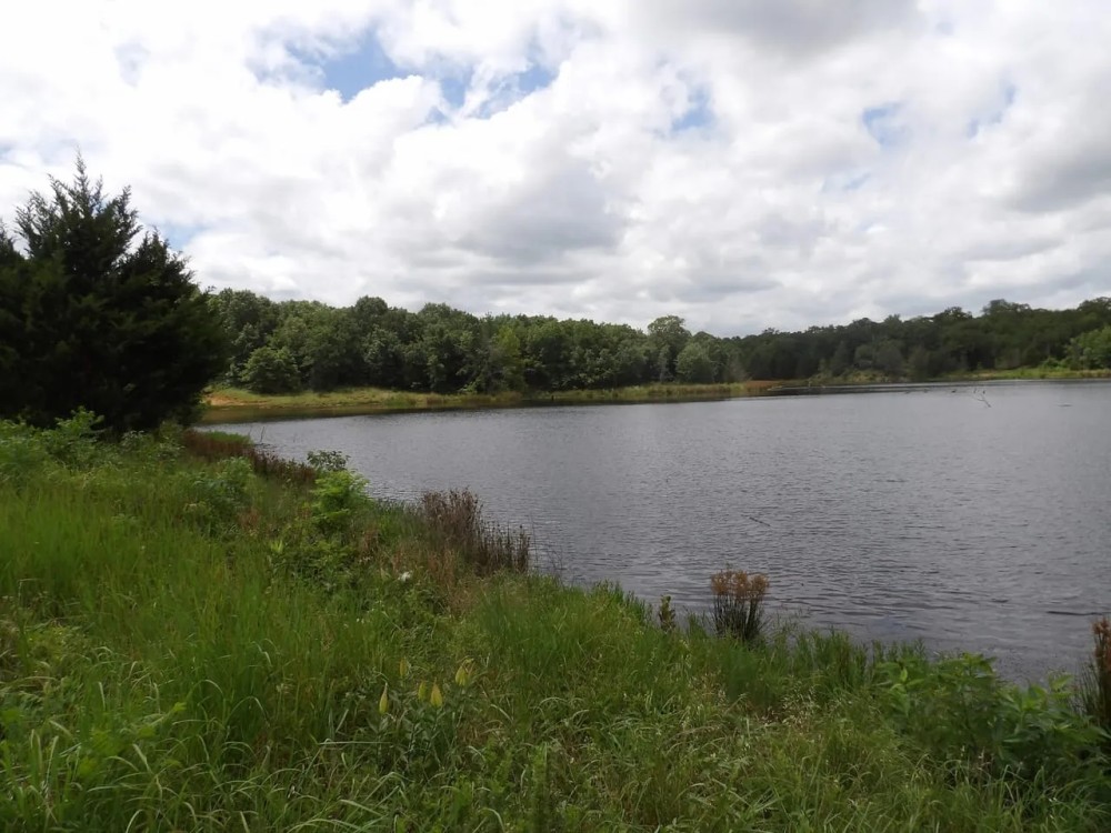 230 ACRES OF PRIME HUNTING AND RECREATIOAL PROPERTY featured image