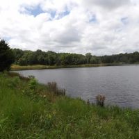 230 ACRES OF PRIME HUNTING AND RECREATIOAL PROPERTY