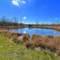 Liberty TX Tract 2 12 Acres Only 15K Down images 2