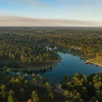 Bishop Hill Plantation images 2
