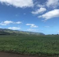 947 acres Pohakuloa Cooperative Area pigs hunting land in Honolulu, HI