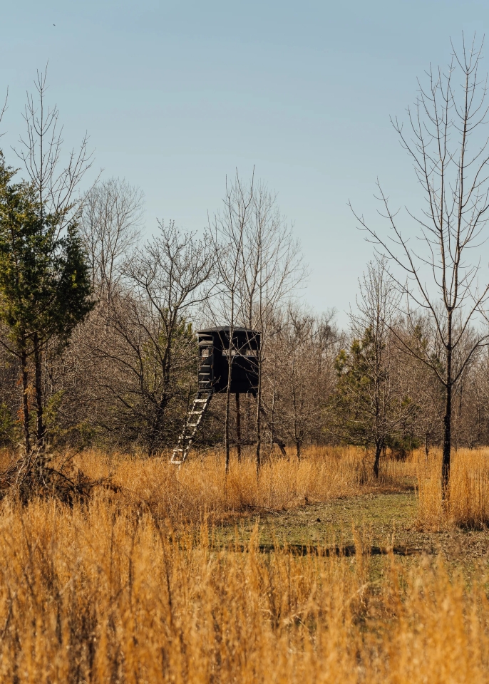 559.1 Acres with a Lodge in Quitman County MS Hunting Land for Sale