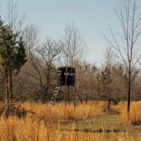 559.1 Acres with a Lodge in Quitman County MS