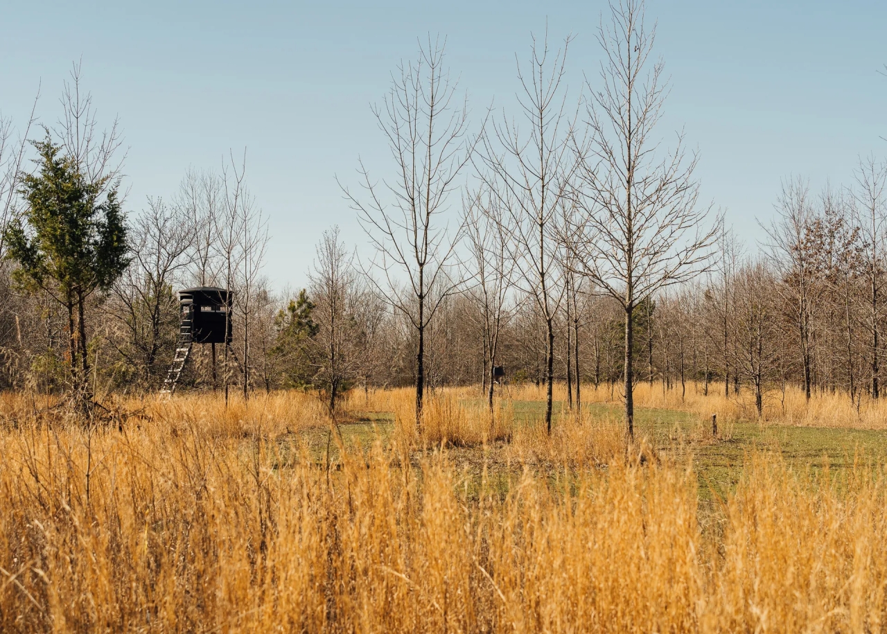 559.1 Acres with a Lodge in Quitman County MS Hunting Land for Sale