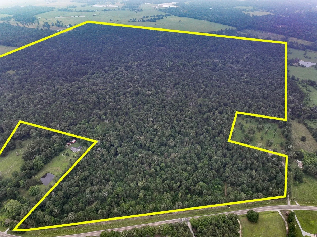341 Acres FM 1475 Hunting Land for Sale
