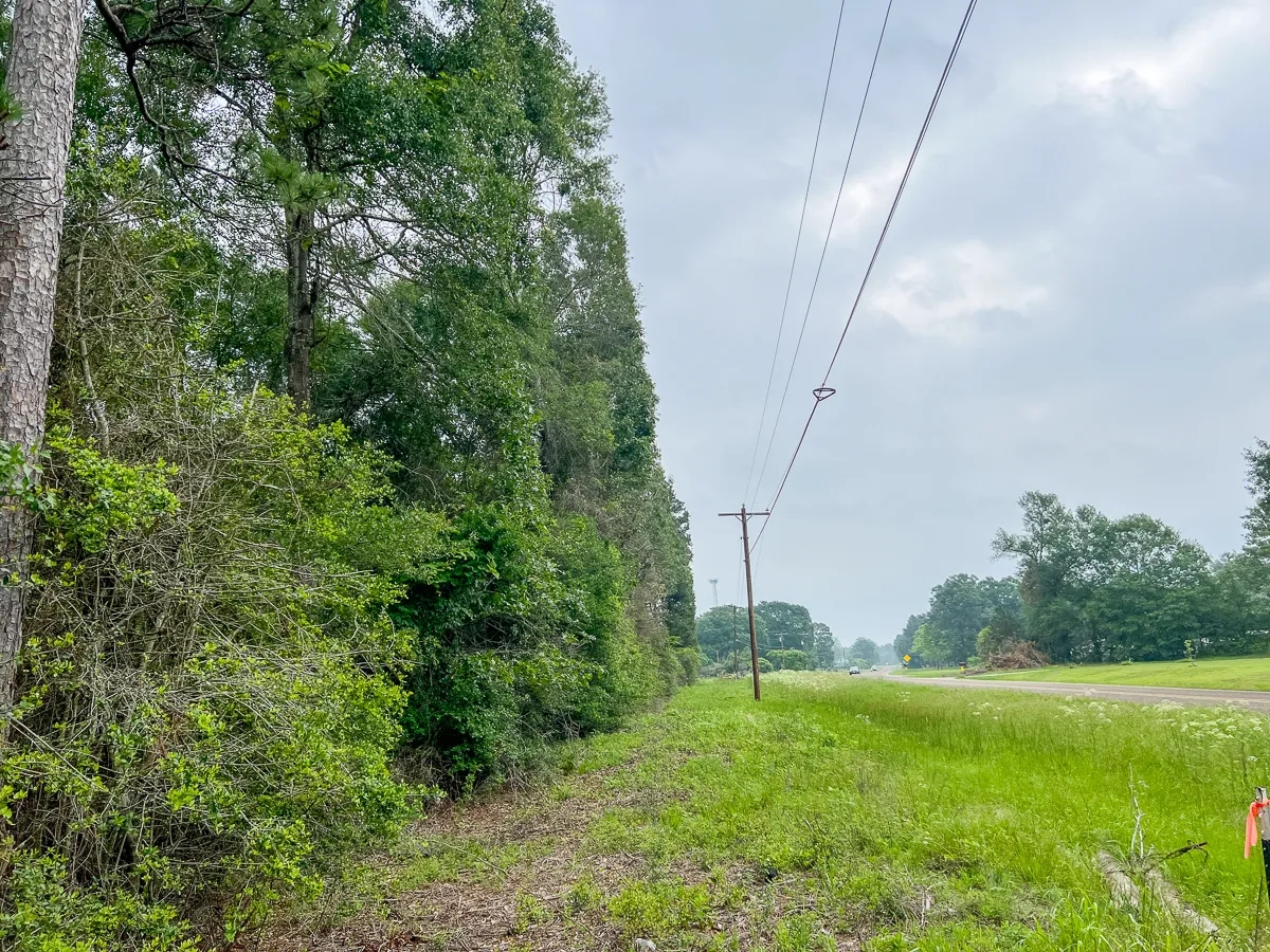 341 Acres FM 1475 Hunting Land for Sale