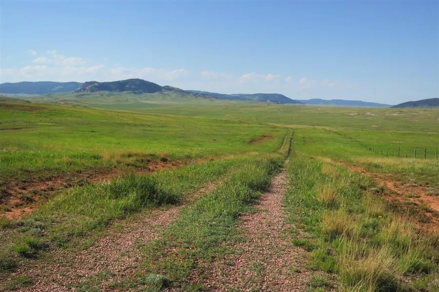 Red Hills Pasture featured image