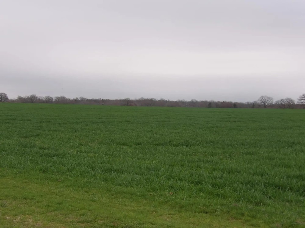 1100 ACRES OF PRIME RANCH LAND featured image