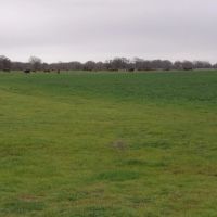 1100 ACRES OF PRIME RANCH LAND images 2